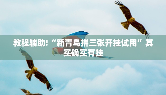 教程辅助!“新青鸟拼三张开挂试用”其实确实有挂
