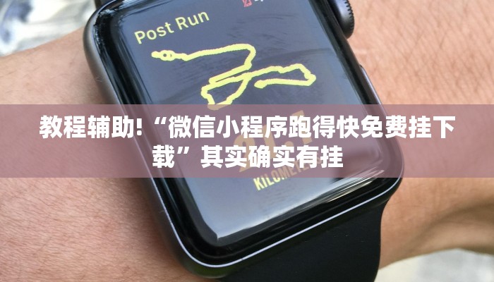 教程辅助!“微信小程序跑得快免费挂下载”其实确实有挂