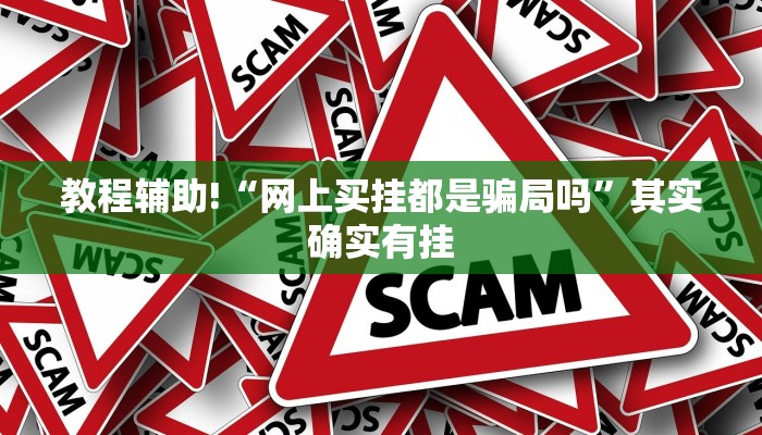 教程辅助!“网上买挂都是骗局吗”其实确实有挂