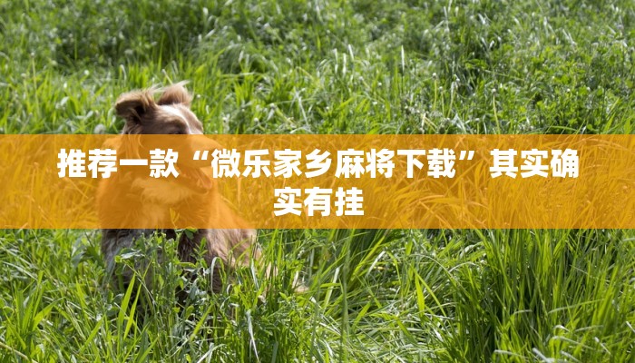 推荐一款“微乐家乡麻将下载”其实确实有挂
