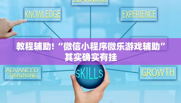 教程辅助!“微信小程序微乐游戏辅助”其实确实有挂