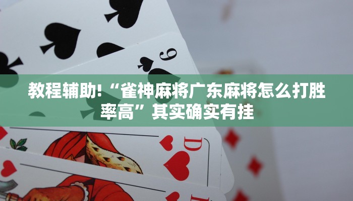 教程辅助!“雀神麻将广东麻将怎么打胜率高”其实确实有挂