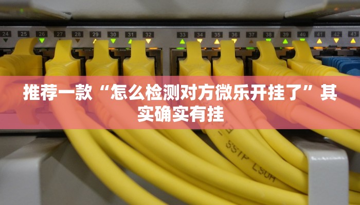 推荐一款“怎么检测对方微乐开挂了”其实确实有挂