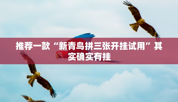 推荐一款“新青鸟拼三张开挂试用”其实确实有挂
