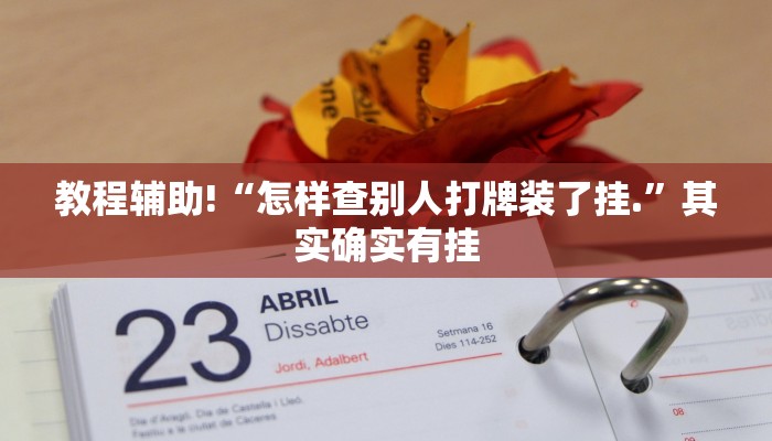 教程辅助!“怎样查别人打牌装了挂.”其实确实有挂