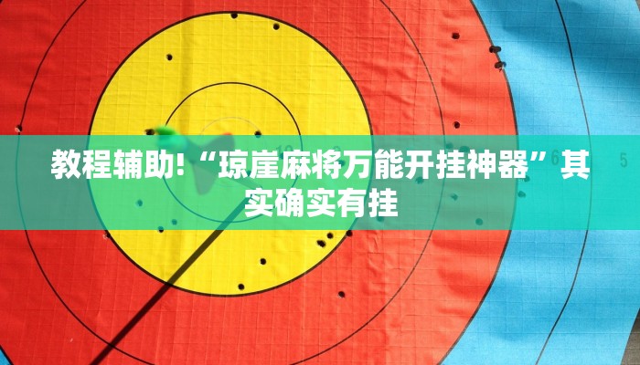 教程辅助!“琼崖麻将万能开挂神器”其实确实有挂