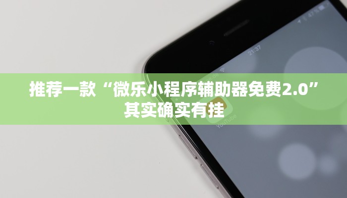 推荐一款“微乐小程序辅助器免费2.0”其实确实有挂