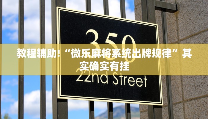 教程辅助!“微乐麻将系统出牌规律”其实确实有挂