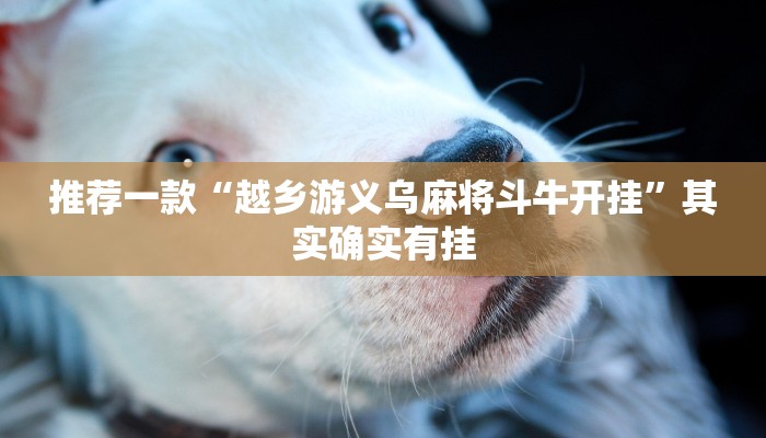 教程辅助!“怎样防止别人打牌开挂”其实确实有挂