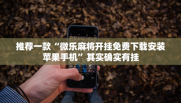 推荐一款“微乐麻将开挂免费下载安装苹果手机”其实确实有挂