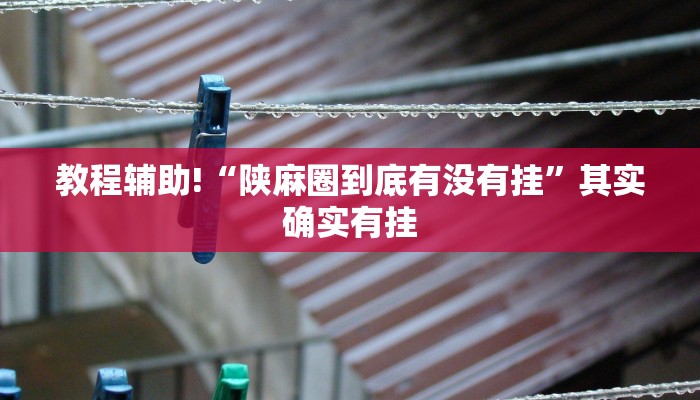 教程辅助!“陕麻圈到底有没有挂”其实确实有挂