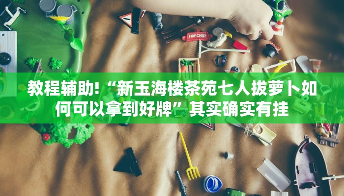 教程辅助!“新玉海楼茶苑七人拔萝卜如何可以拿到好牌”其实确实有挂